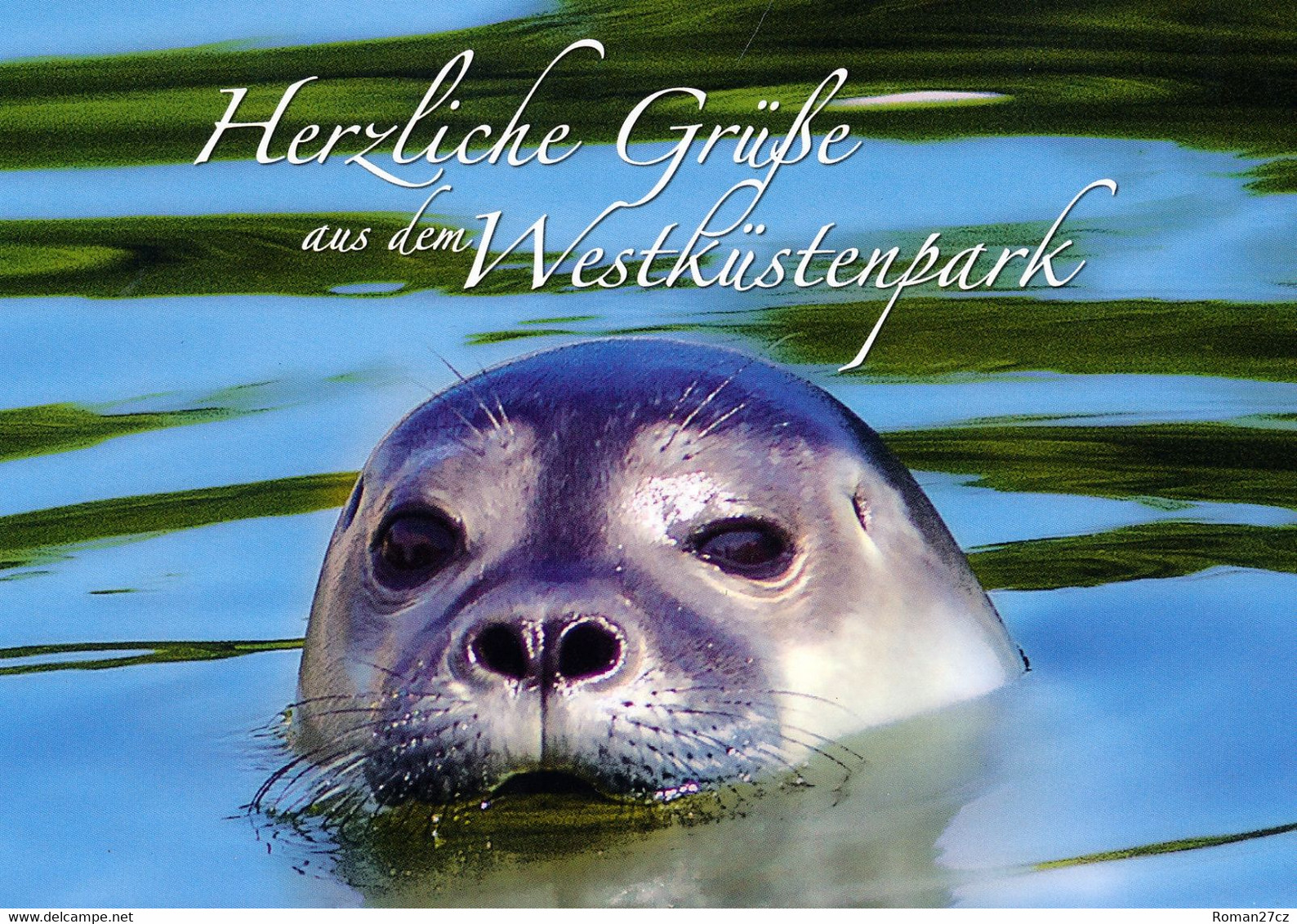 Westküstenpark & Robbarium St.Peter-Ording, DE - Seal - St. Peter-Ording