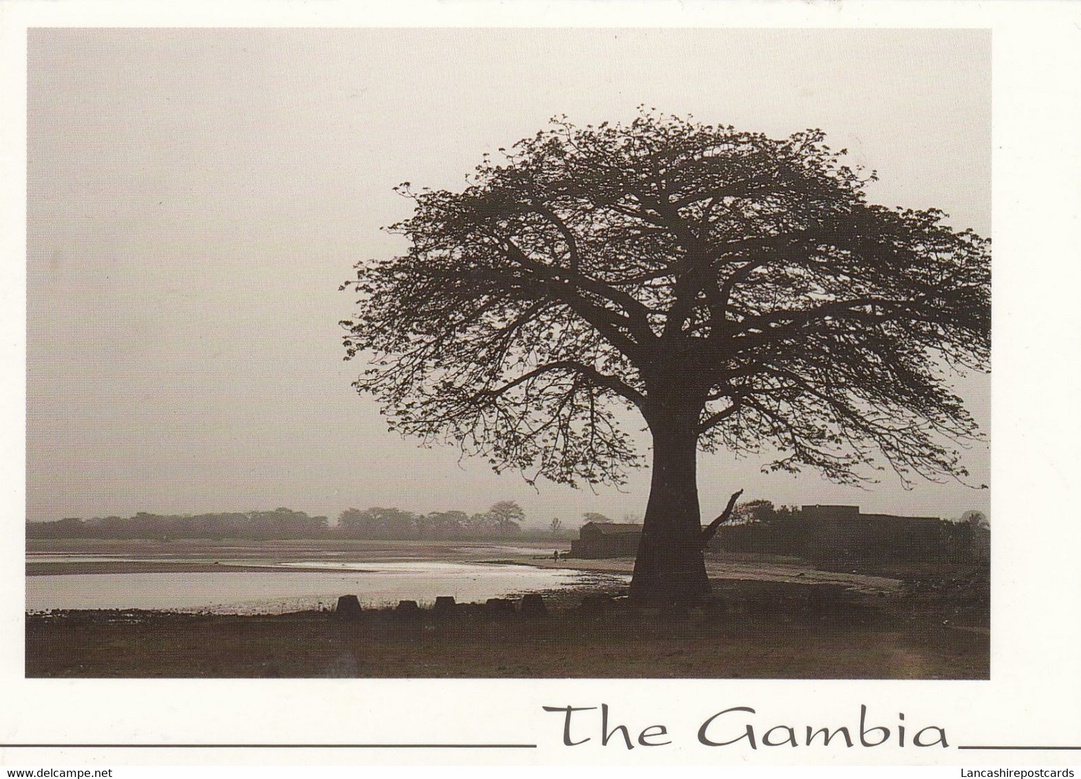 Postcard The Gambia Sunset / Coucher De Soleil  My Ref B25189 - Gambia