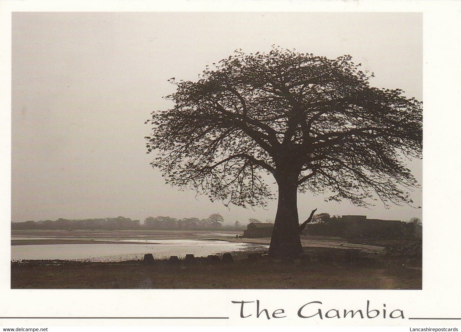 Postcard The Gambia Sunset / Coucher De Soleil  My Ref B25189 - Gambie