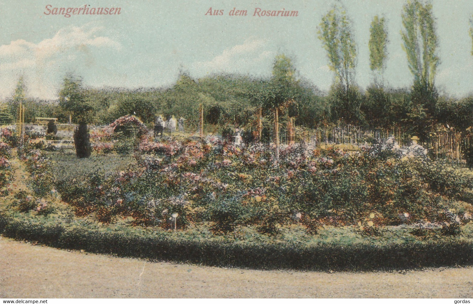 Germany - Sangerhausen - Aus Dem Rosarium - Sangerhausen