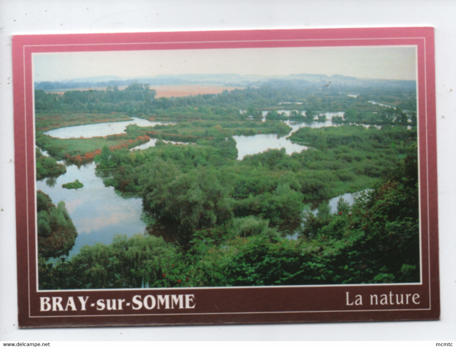 CPM - Bray Sur Somme -   Vallée De La Haute Somme - Le Belvédère De Vaux - La Nature - Bray Sur Somme