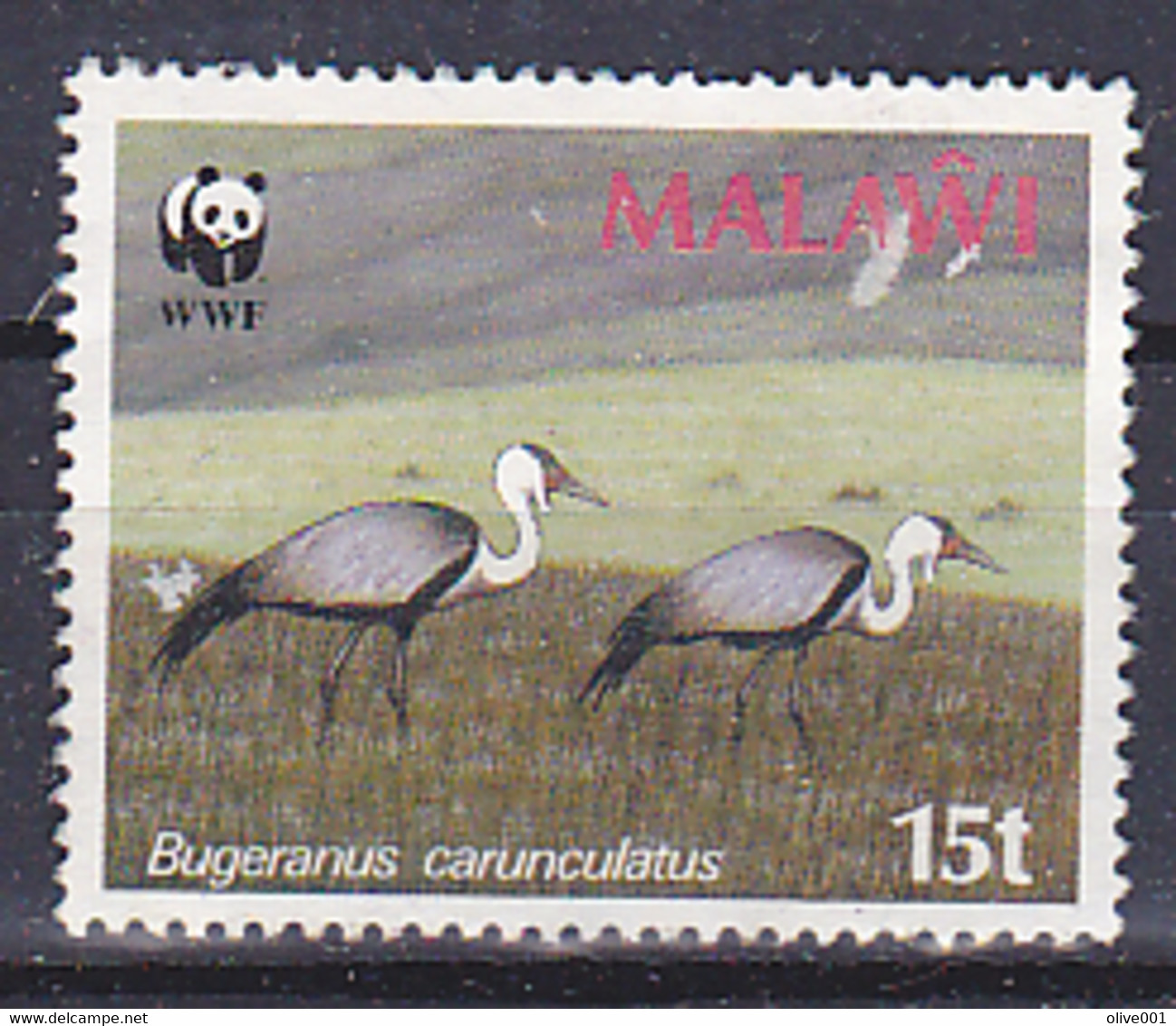 Malawi - 1987 - WWF- Animaux - Oiseaux - Bugeranus Carunculatus - Scott 495 - Oblitéré - Used - - Malawi (1964-...)