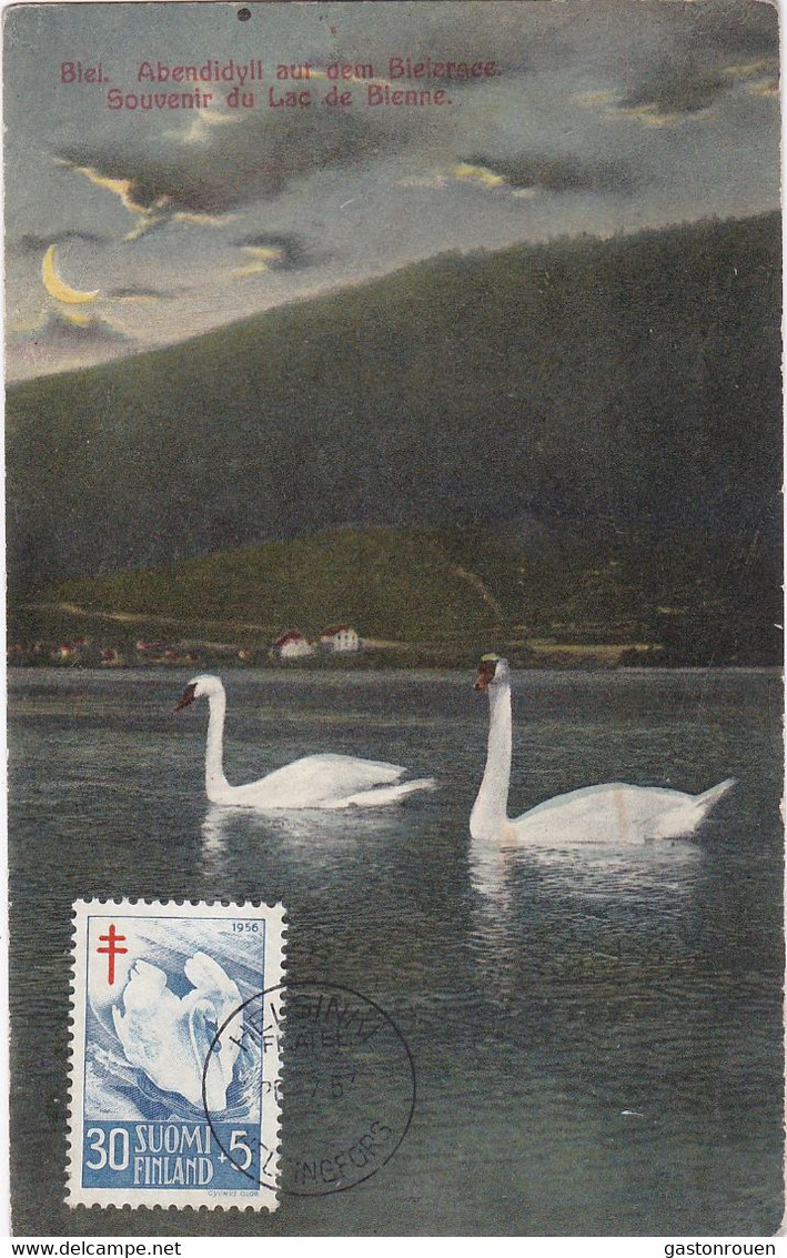 Carte Maximum Card Oiseau Bird Finlande Finland  Cygne Swan 1957 - Cartes-maximum (CM)