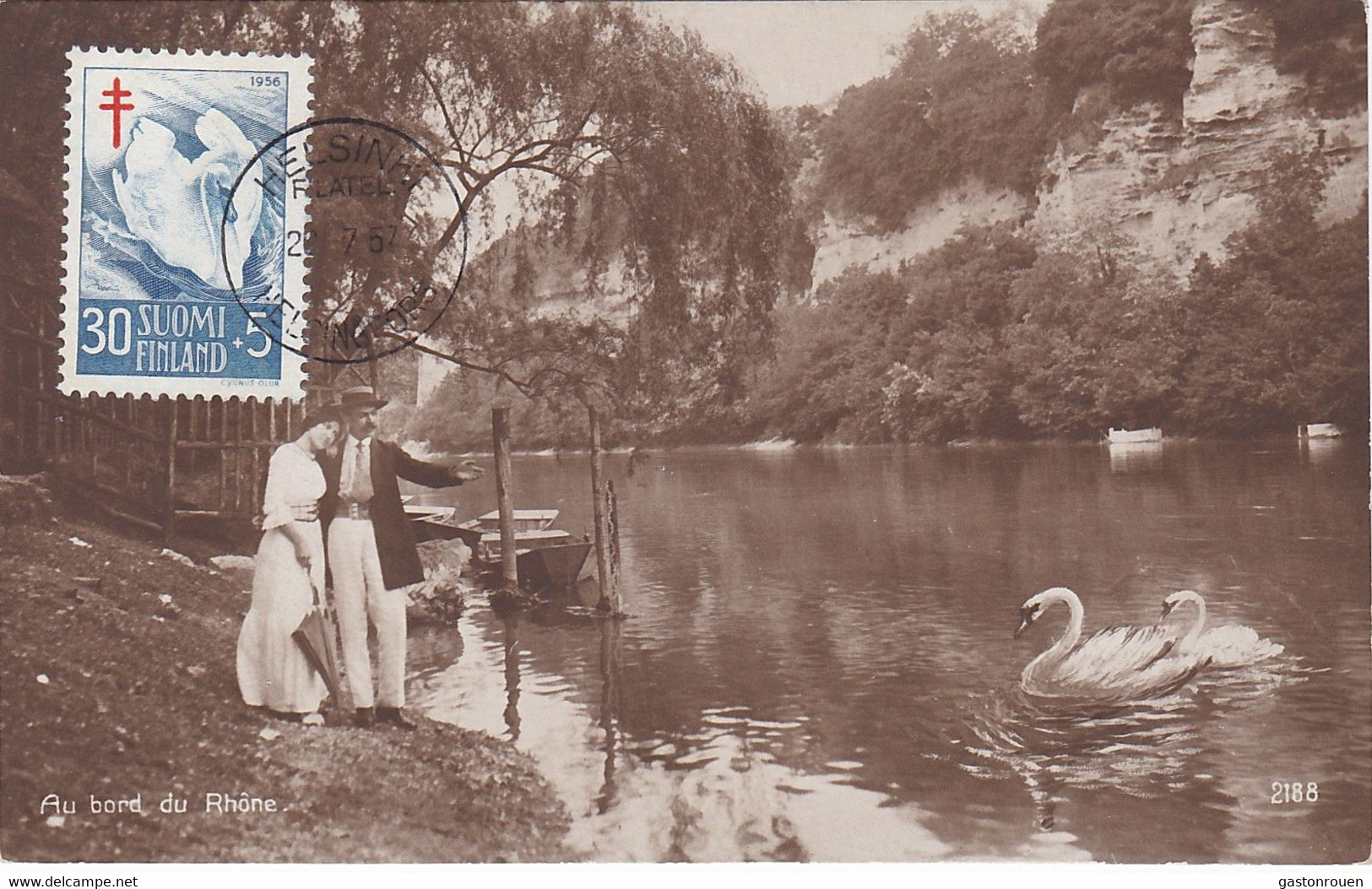 Carte Maximum Card Oiseau Bird Finlande Finland  Cygne Swan 1957 - Cartoline Maximum