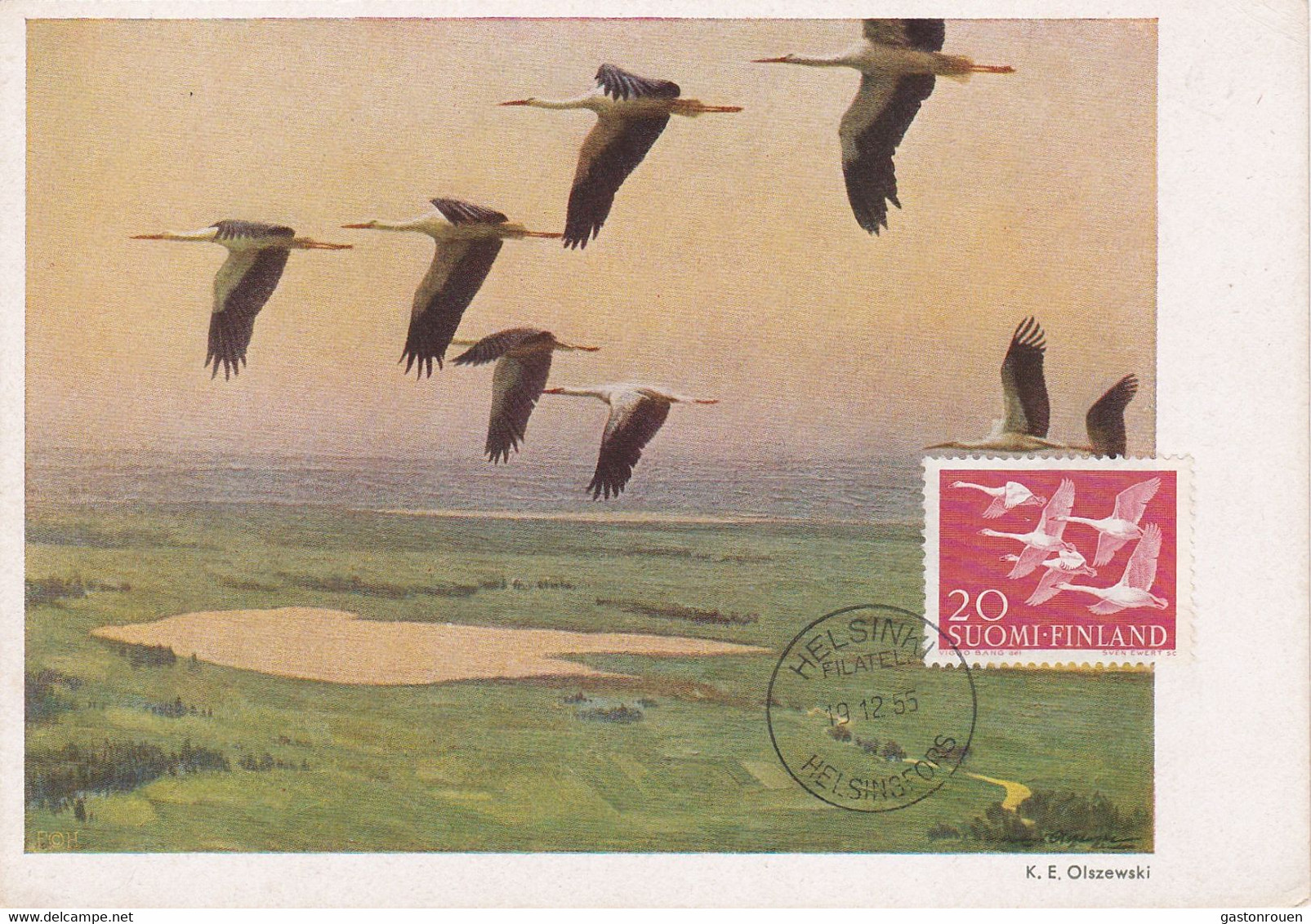 Carte Maximum Card Oiseau Bird Finlande Finland  1955 Oie Goose - Maximum Cards & Covers