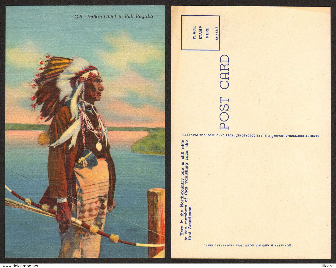 USA Indian Chief In Full Regalia #15686 - Sioux Falls