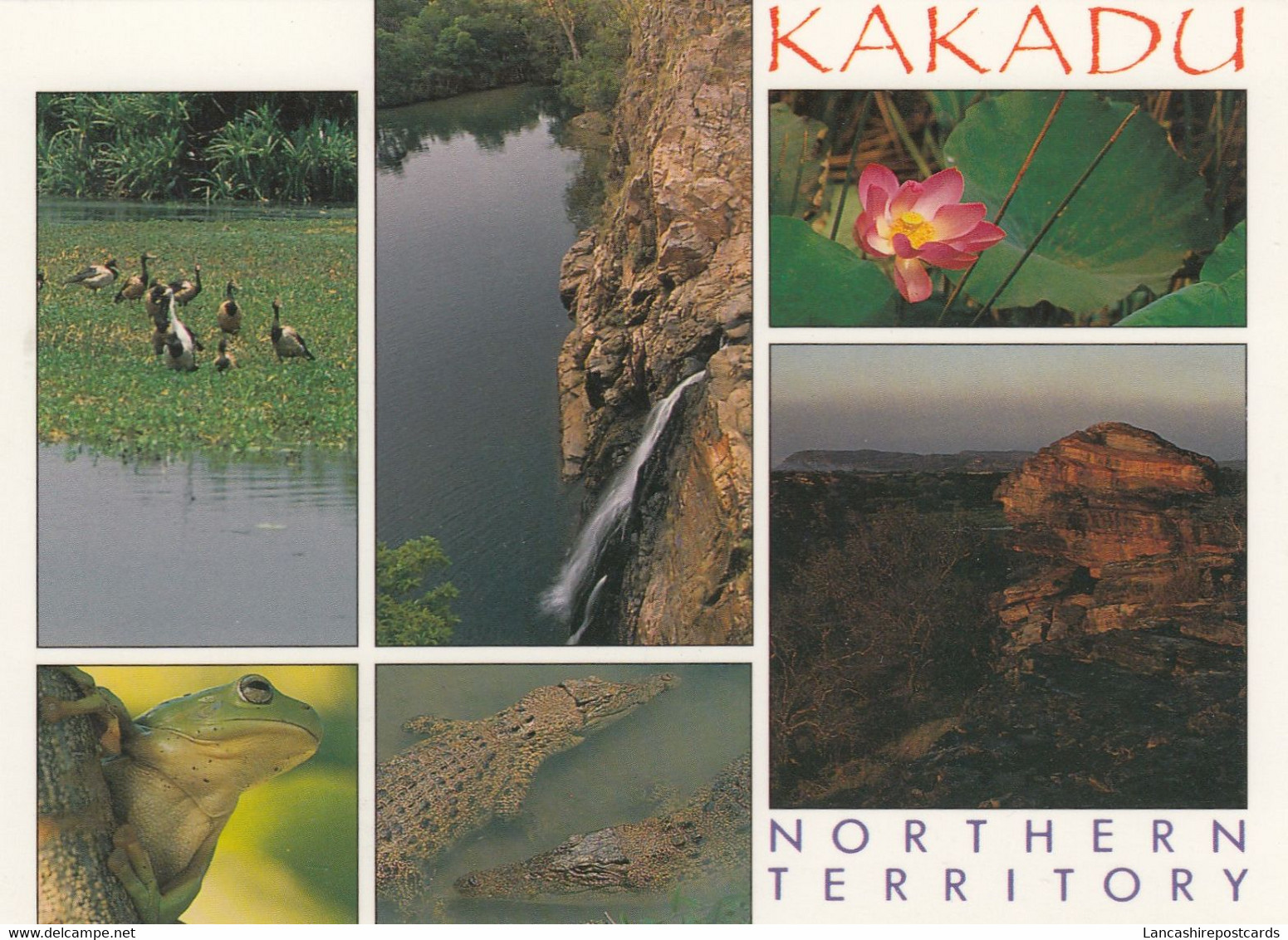 Postcard Kakadu Northern Territory My Ref B25207TB - Kakadu