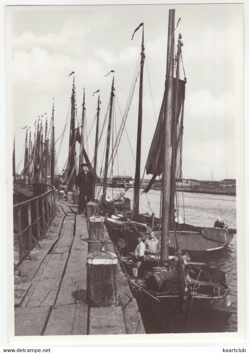 Lemmer, Vissershaven - (Friesland, Nederland) - Boten/Schepen - Lemmer