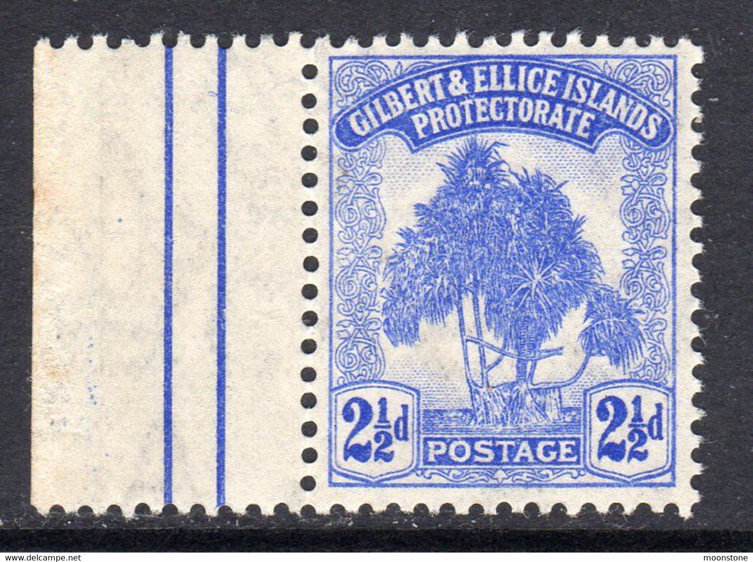 Gilbert & Ellice Islands 1911 Pandanus Tree 2½d Value, MNH Marginal, SG 11 (BP2) - Gilbert & Ellice Islands (...-1979)