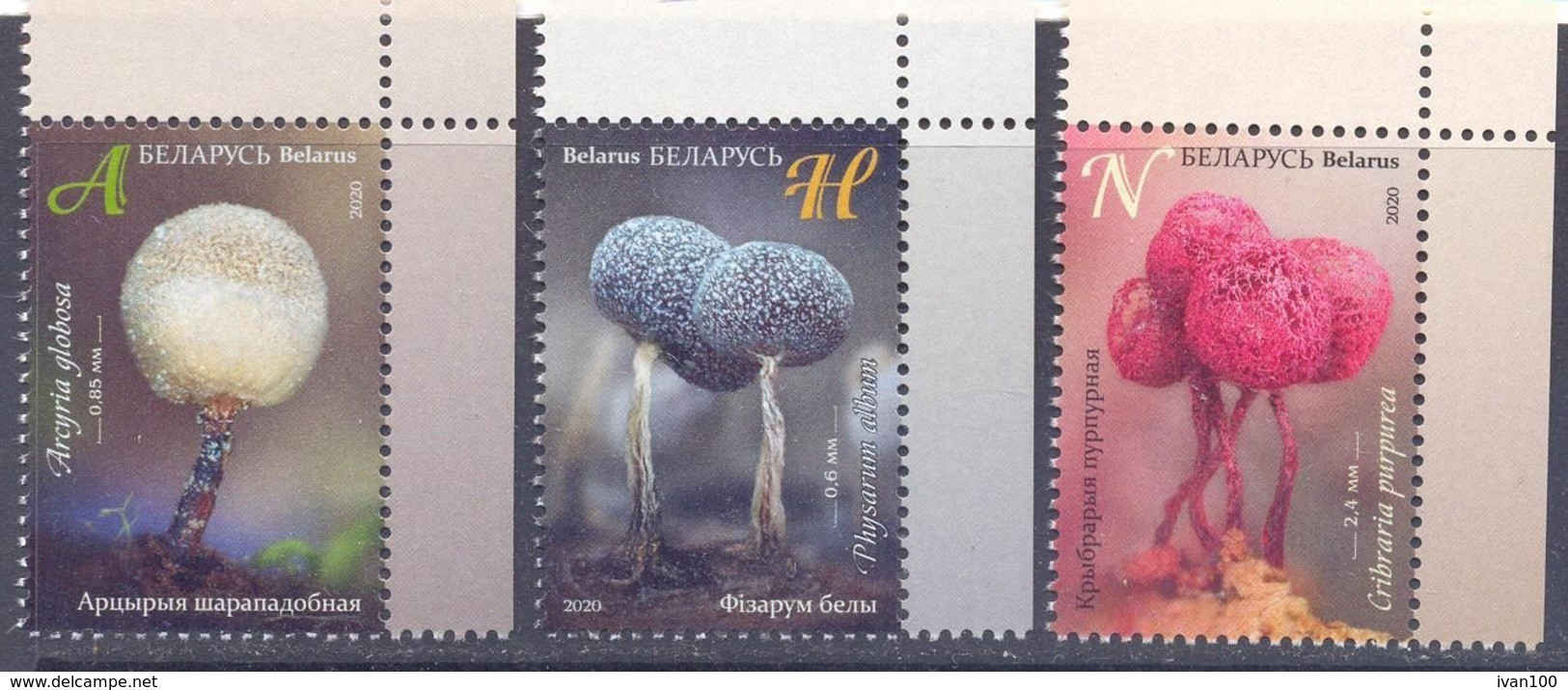 2020. Belarus, Myxomycetes, 3v, Mint/** - Belarus