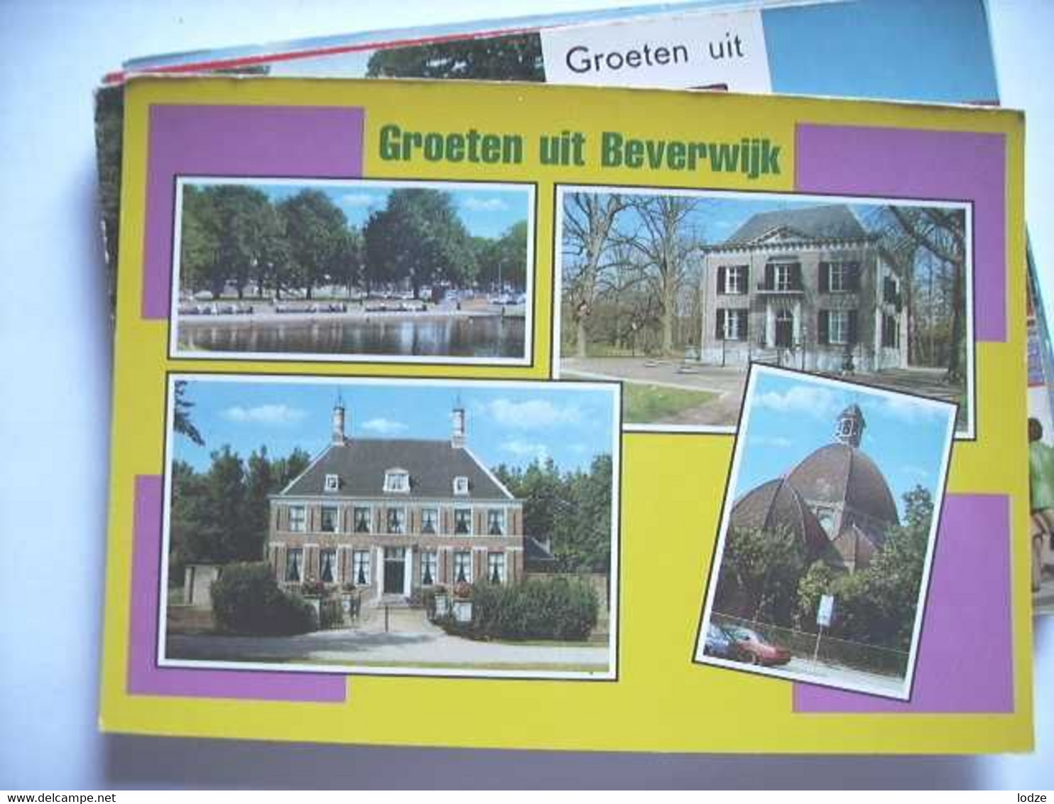 Nederland Holland Pays Bas Beverwijk Met Geel En Rose - Beverwijk