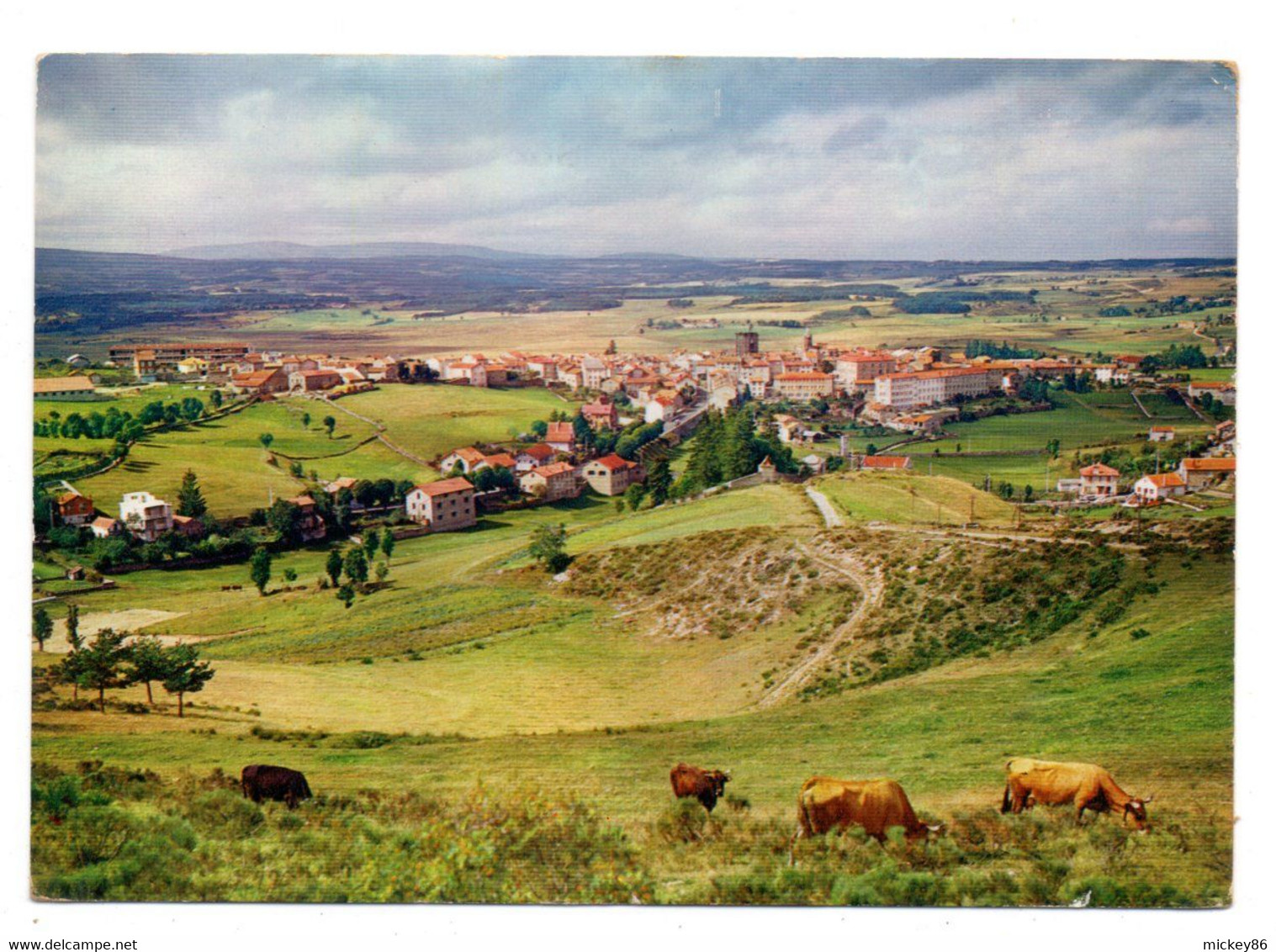 SAUGUES --  1973 -- Vue Générale --( Vaches ) ...timbre...cachet........à Saisir - Saugues