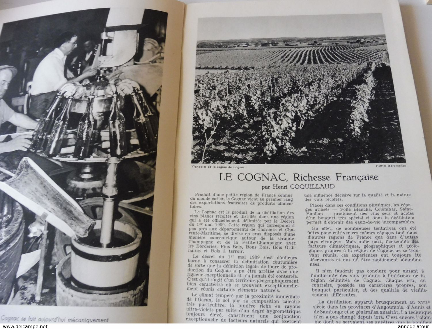 COGNAC 1959  LA FRANCE À  TABLE : Gasronomie; Les recettes culinaires au cognac ; Châtres ; Etc