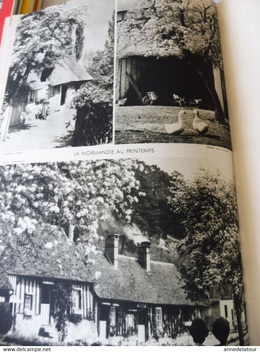 HTE NORMANDIE 1951 LA FRANCE À TABLE:Bénédiction à La St-Pierre-des-Marins; Fécamp;Etretat;Rouen;Le Havre;Le Tréport;Etc