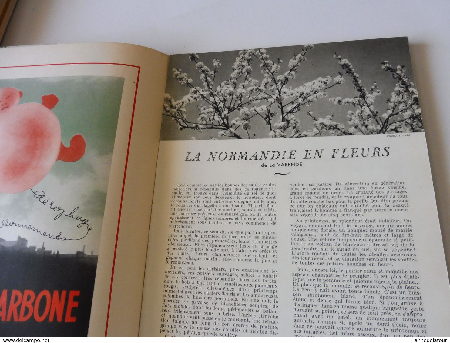 HTE NORMANDIE 1951 LA FRANCE À TABLE:Bénédiction à La St-Pierre-des-Marins; Fécamp;Etretat;Rouen;Le Havre;Le Tréport;Etc