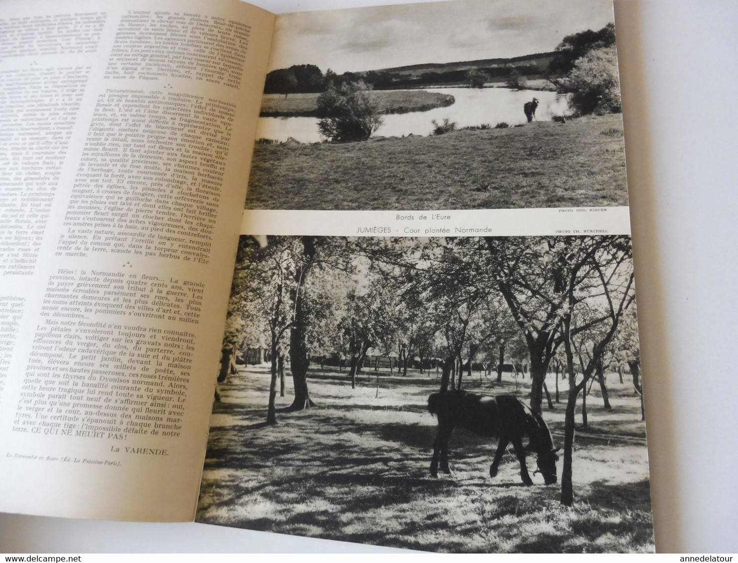 HTE NORMANDIE 1951 LA FRANCE À TABLE:Bénédiction à La St-Pierre-des-Marins; Fécamp;Etretat;Rouen;Le Havre;Le Tréport;Etc