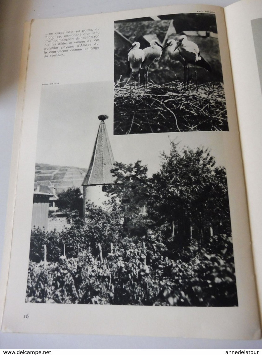 ALSACE 1952 LA FRANCE À TABLE: Hansi, Belfort,Colmar, Ribeauville, Vieil-Armand, Riquewihr, Than,Recettes culinaires;Etc