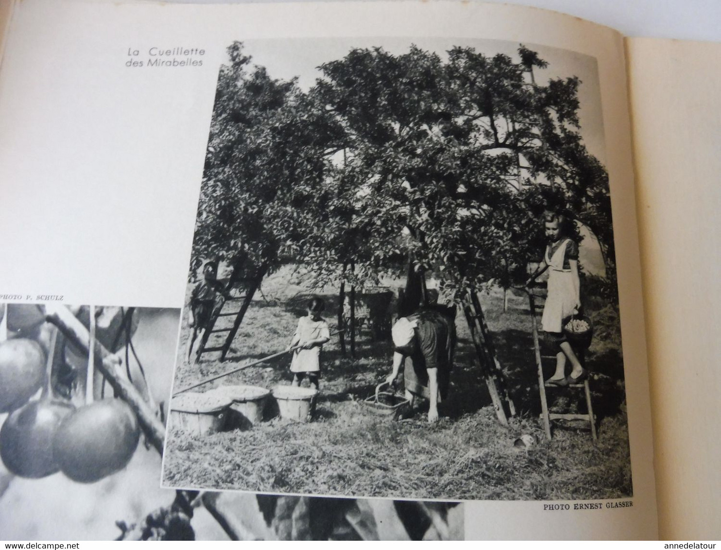 ALSACE 1952 LA FRANCE À TABLE: Hansi, Belfort,Colmar, Ribeauville, Vieil-Armand, Riquewihr, Than,Recettes culinaires;Etc