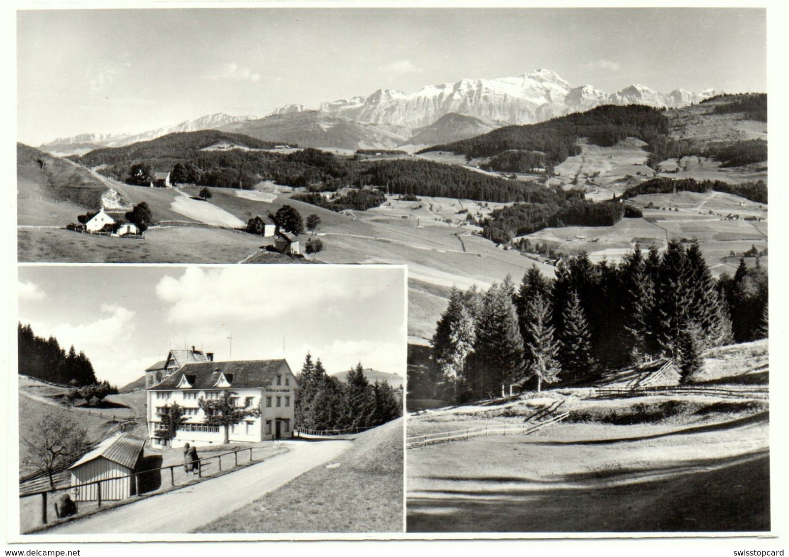 SCHWELLBRUNN Gasthaus Landscheide Fam. Alfred Knechtle - Schwellbrunn