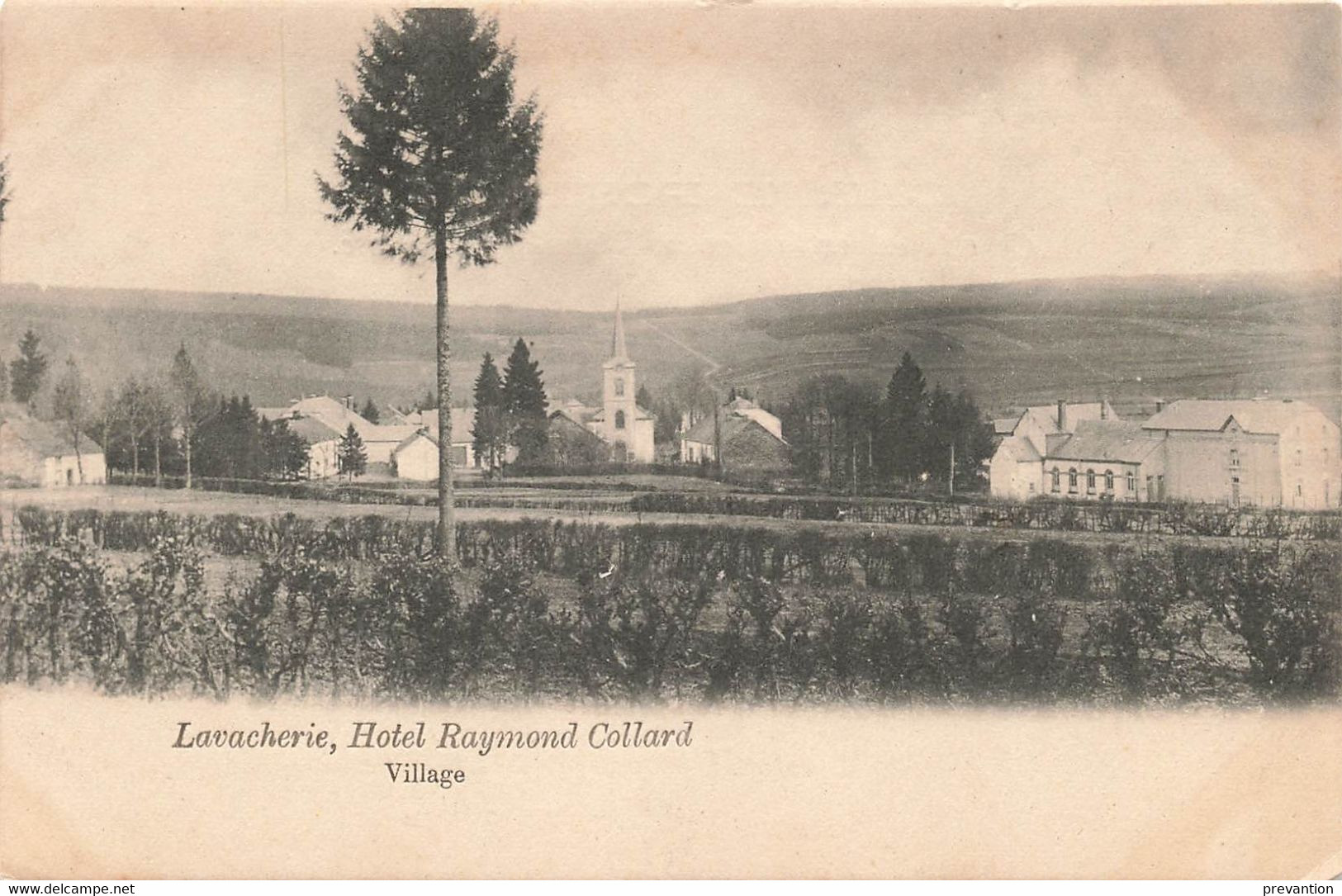 LAVACHERIE, Hôtel Raymond Collard - Village - Carte Circulé En 1907 - Sainte-Ode