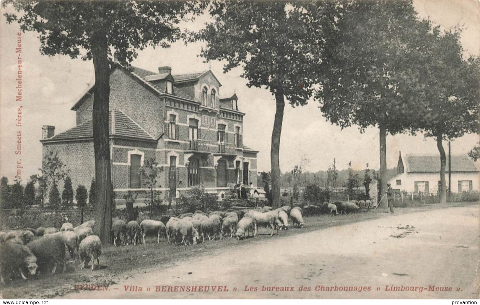 EYSDEN - Villa "Berensheuvel" - Les Bureaux Des Charbonnages (Limbourg-Meuse) - Maasmechelen