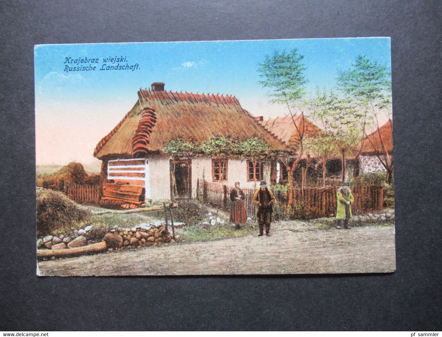 1.WK Polen FP Karte 1917 Krajobraz Wiejski Russische Landschaft Blauer Stempel Briefstempel Inf. Regt. Nr. 409 - Polonia