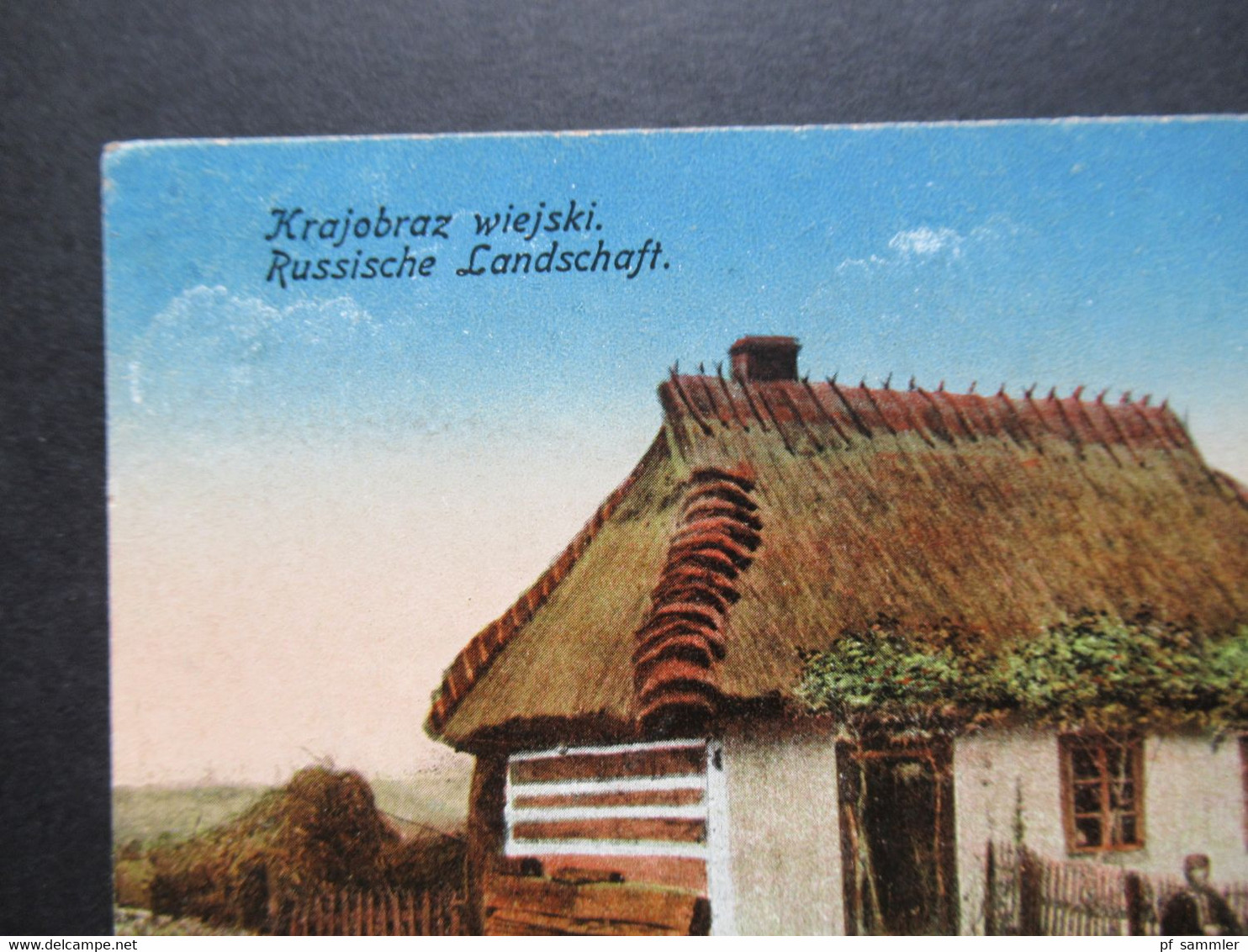 1.WK Polen FP Karte 1917 Krajobraz Wiejski Russische Landschaft Blauer Stempel Briefstempel Inf. Regt. Nr. 409 - Polonia