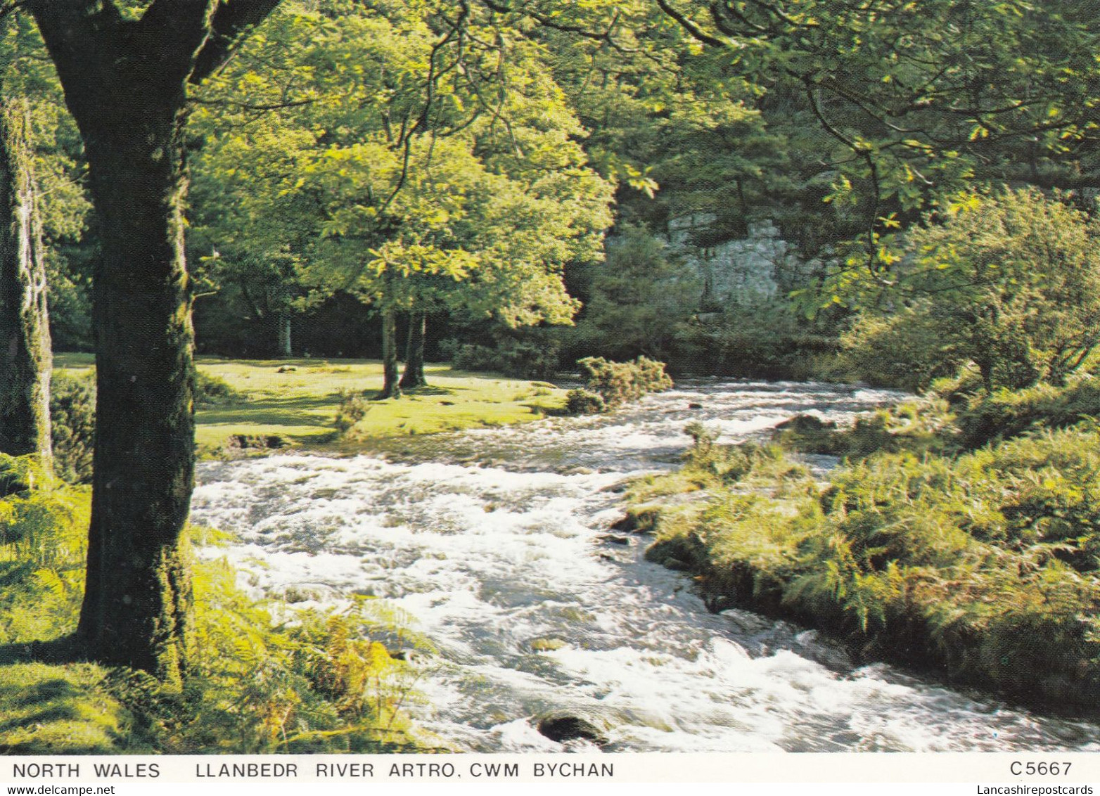 Postcard North Wales Llanbedr River Artro Cwm Bychan My Ref B25230MD - Merionethshire