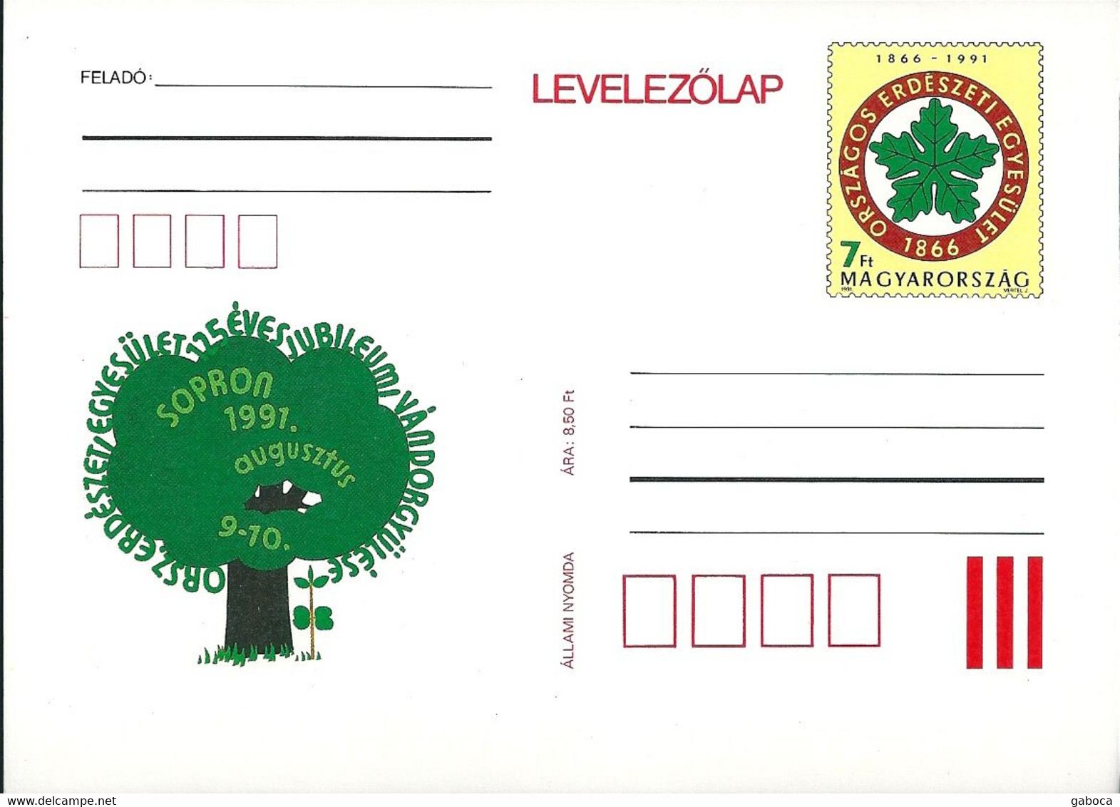 3243d Hungary Postcard Nature Plant Tree Forest Unused - Lettres & Documents