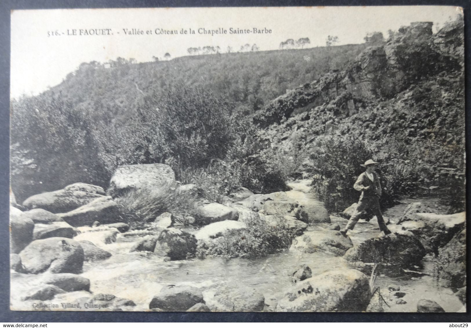 CPA 56 LE FAOUET - Vallée Et Côteau De La Chapelle Sainte Barbe - Villard 516 - Réf. D 257 - Faouët