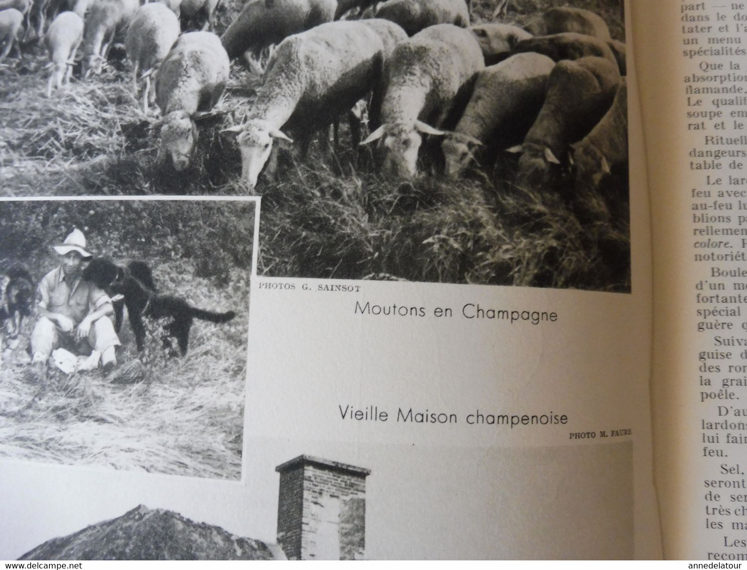 CHAMPAGNE 1951 LA FRANCE À TABLE:Fêtes de la vigne et du vin;Gastronomie; Reims, Les Riceys, Troyes, Provins, Etuf, Etc