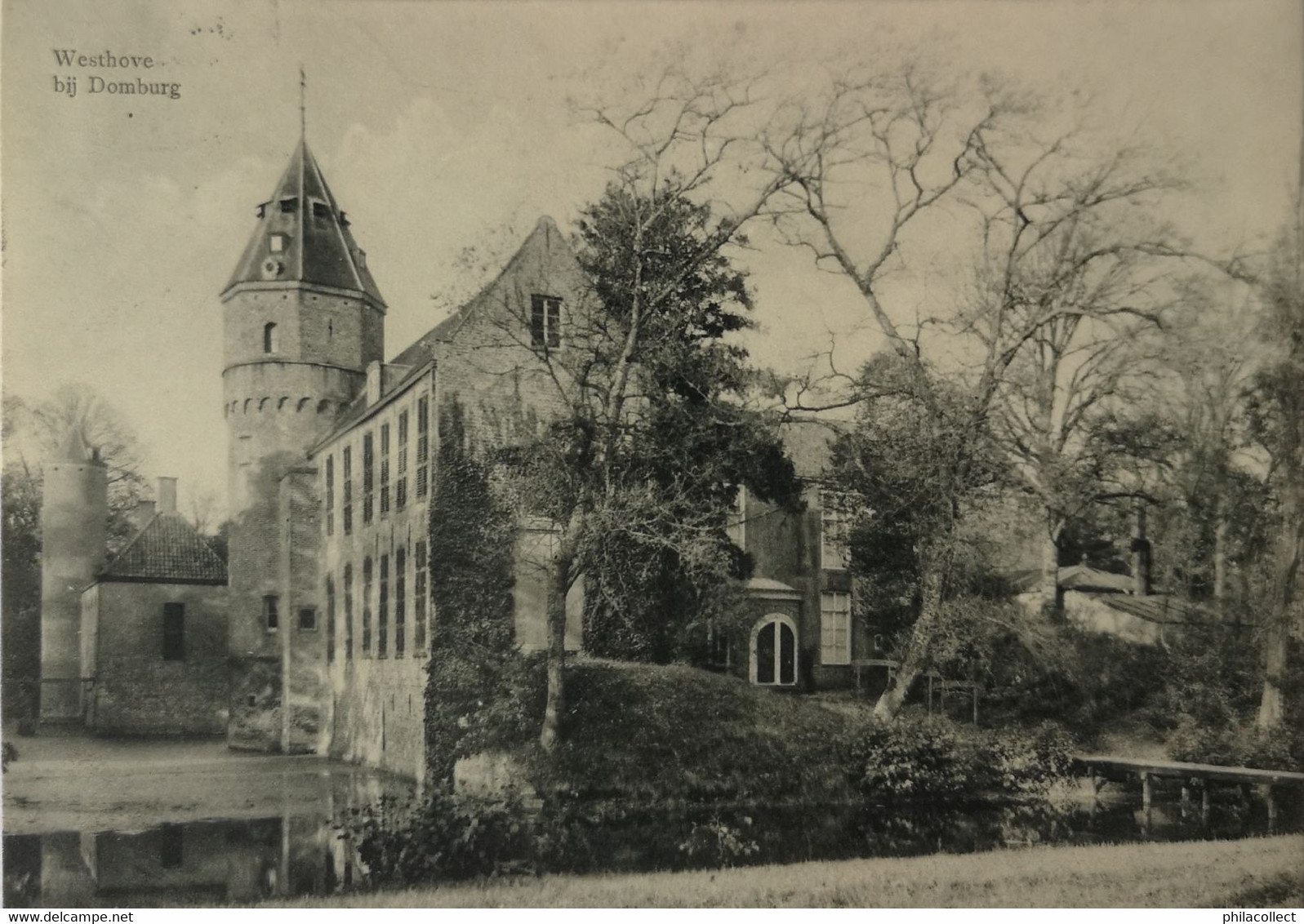 Bij Domburg // Kasteel Westhove (niet Standaard) 1915 - Domburg