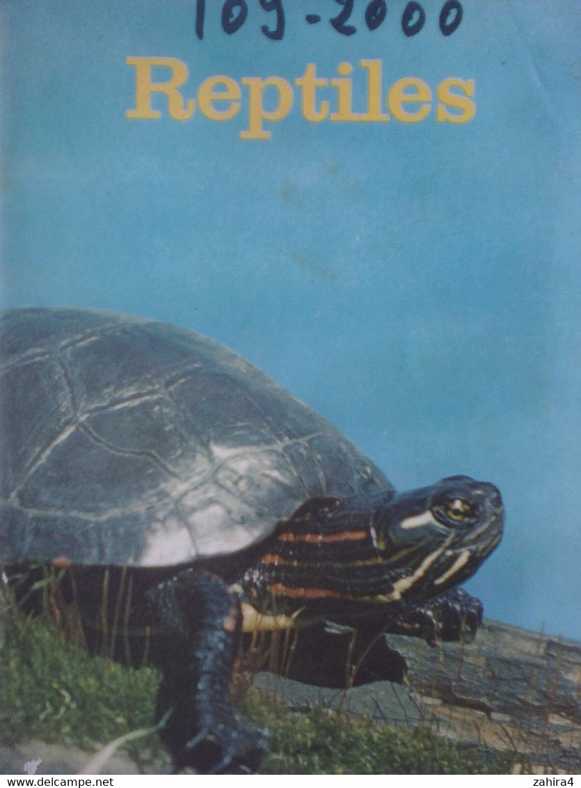 USA Tortue Reptile Basic Science Education Series Bertha Morris Parker Gladys K.McCosh 9 Illustrations Tortue Différente - Vie Sauvage