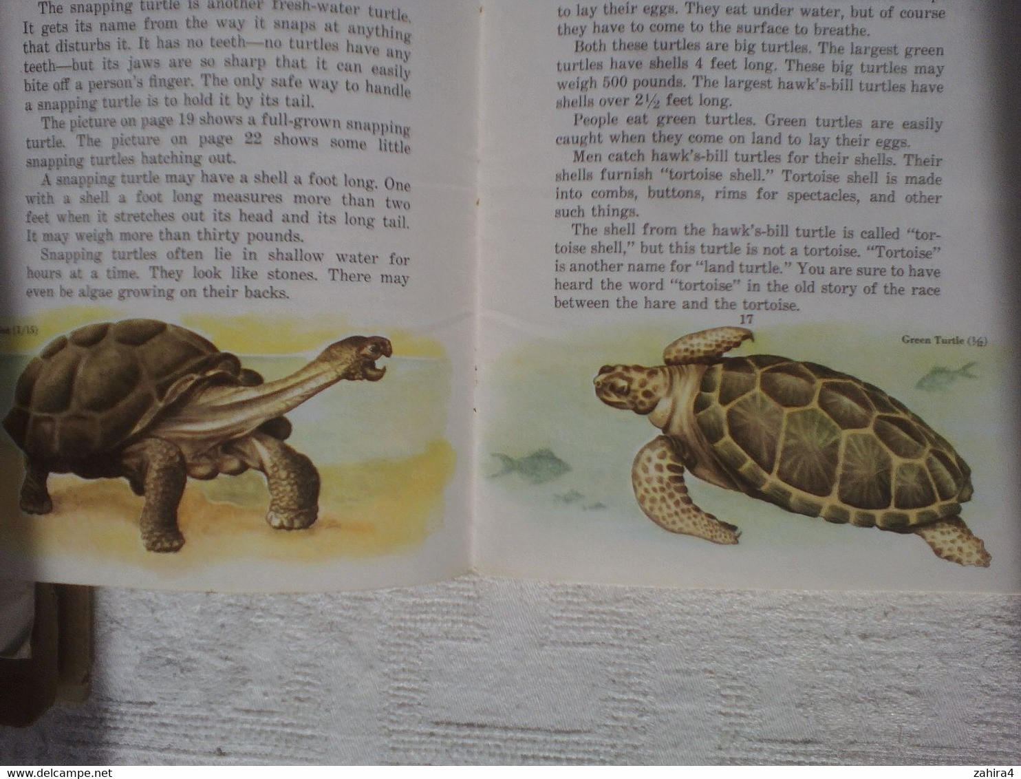 USA Tortue Reptile Basic Science Education Series Bertha Morris Parker Gladys K.McCosh 9 Illustrations Tortue Différente - Vie Sauvage