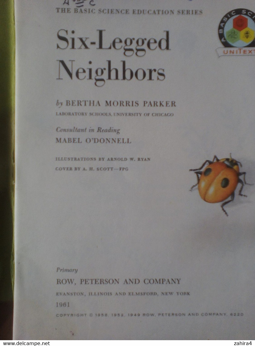 USA Six Legged Neighbors Papillons Basic Science Education Series Bertha Morris Parker Mabel O'Donnell Plus De 35 Dessin - Vita Selvaggia