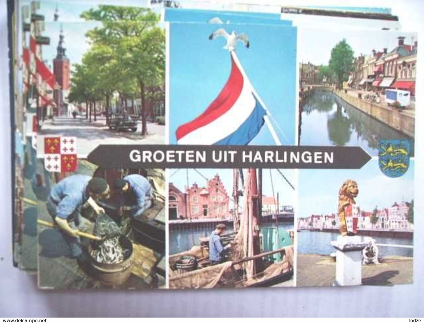 Nederland Holland Pays Bas Harlingen Met Meeuw Op Vlag - Harlingen