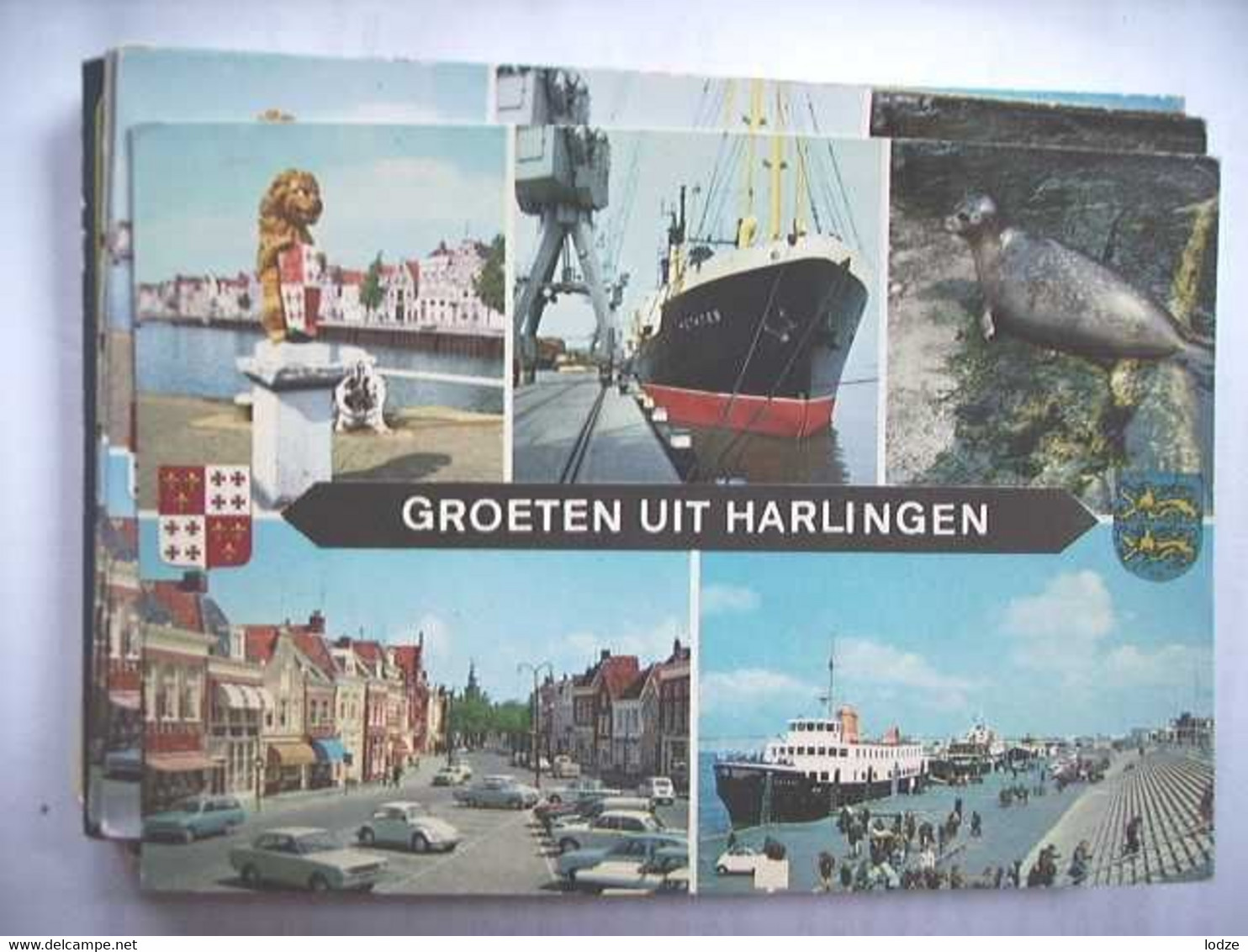 Nederland Holland Pays Bas Harlingen Met Zeehondje, Veerboot, Auto's - Harlingen