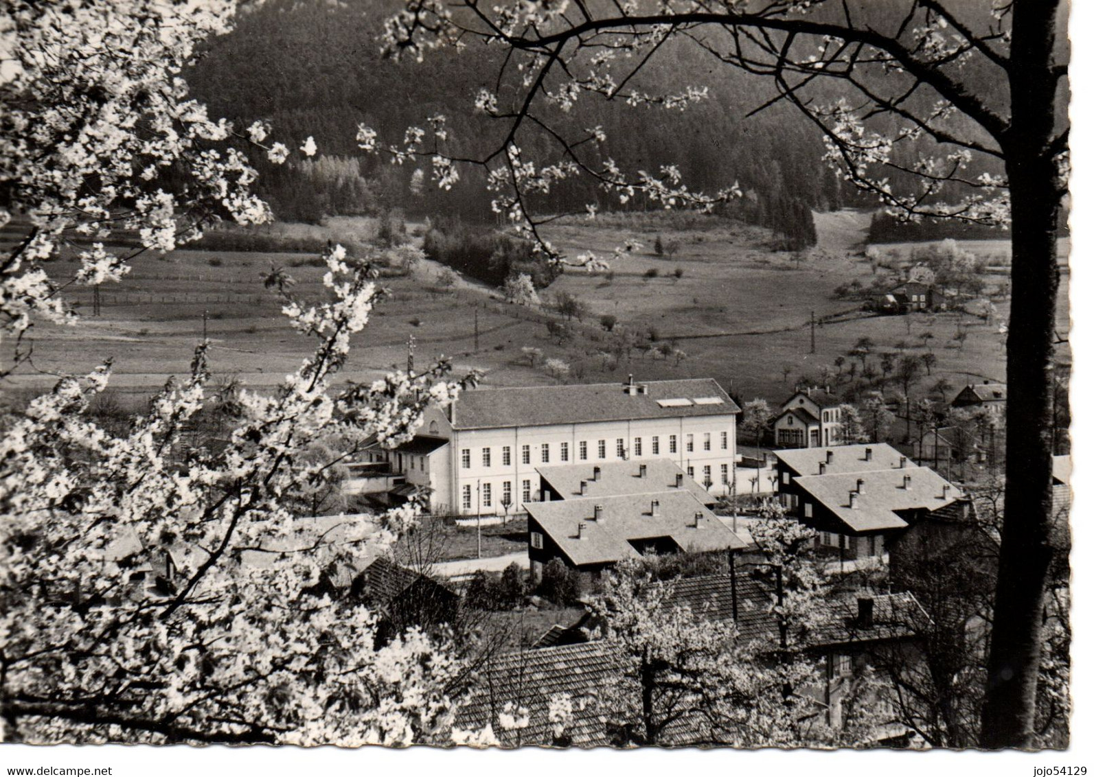 MOUSSEY - Le Jacquart Et La Côte Du Mont. - Moussey