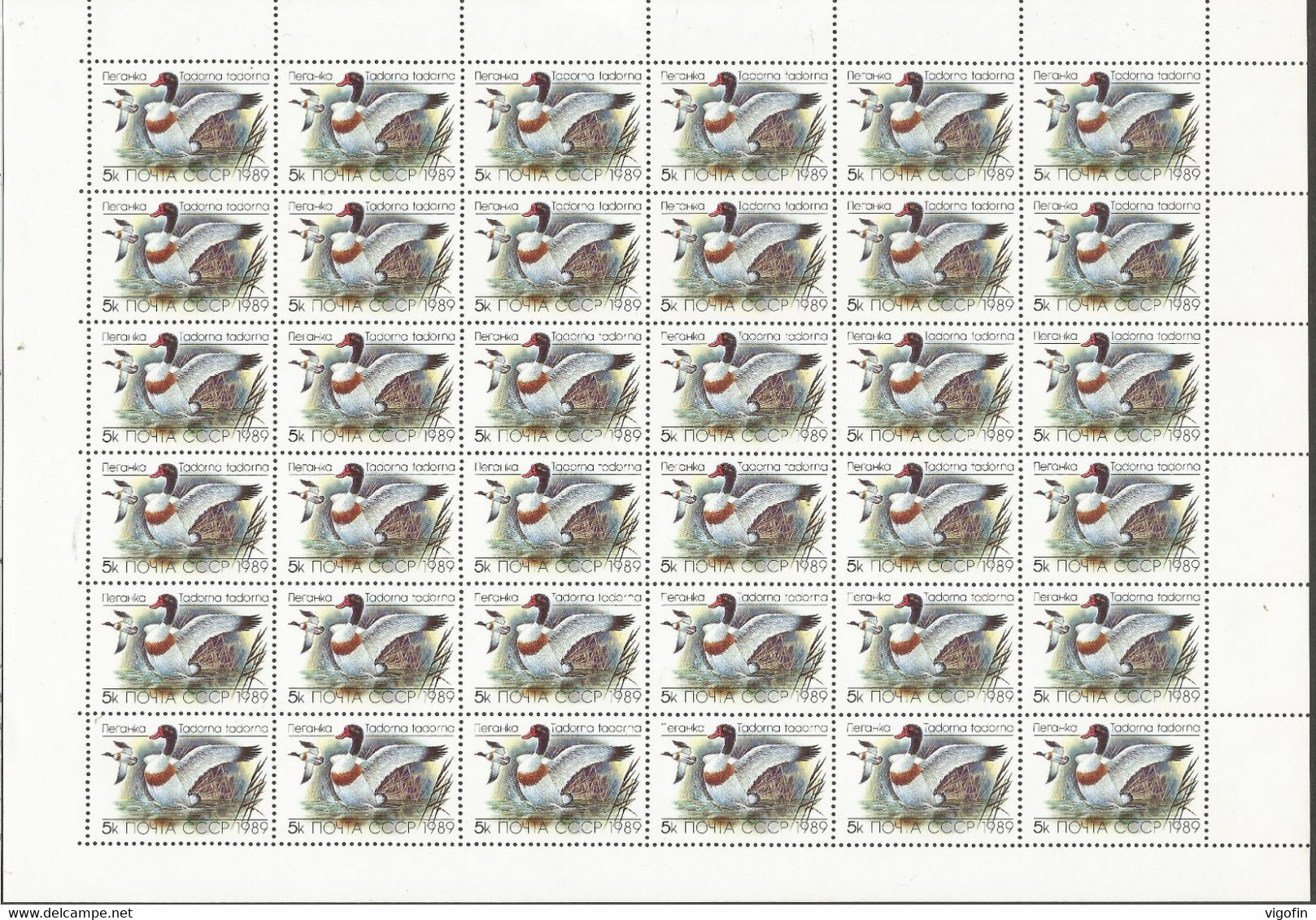 USSR 1989- DUCKS, S S S R, 3sheet, MNH - Fogli Completi