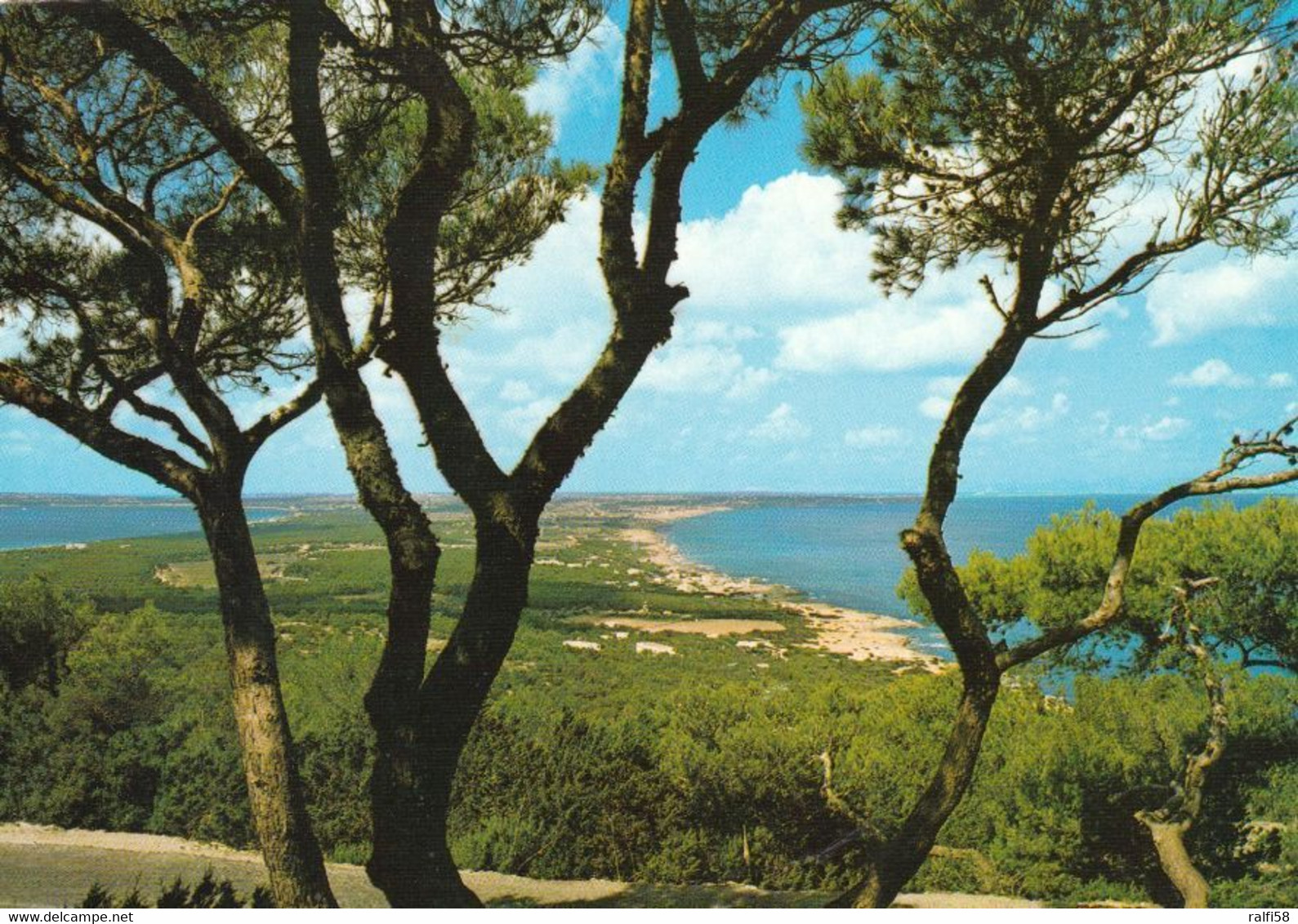 4 AK Spanien / Insel Formentera * 4 Ansichtskarten Der Insel Formentera - Alle Karten Sind Nicht Gelaufen Siehe 4 Scans - Formentera