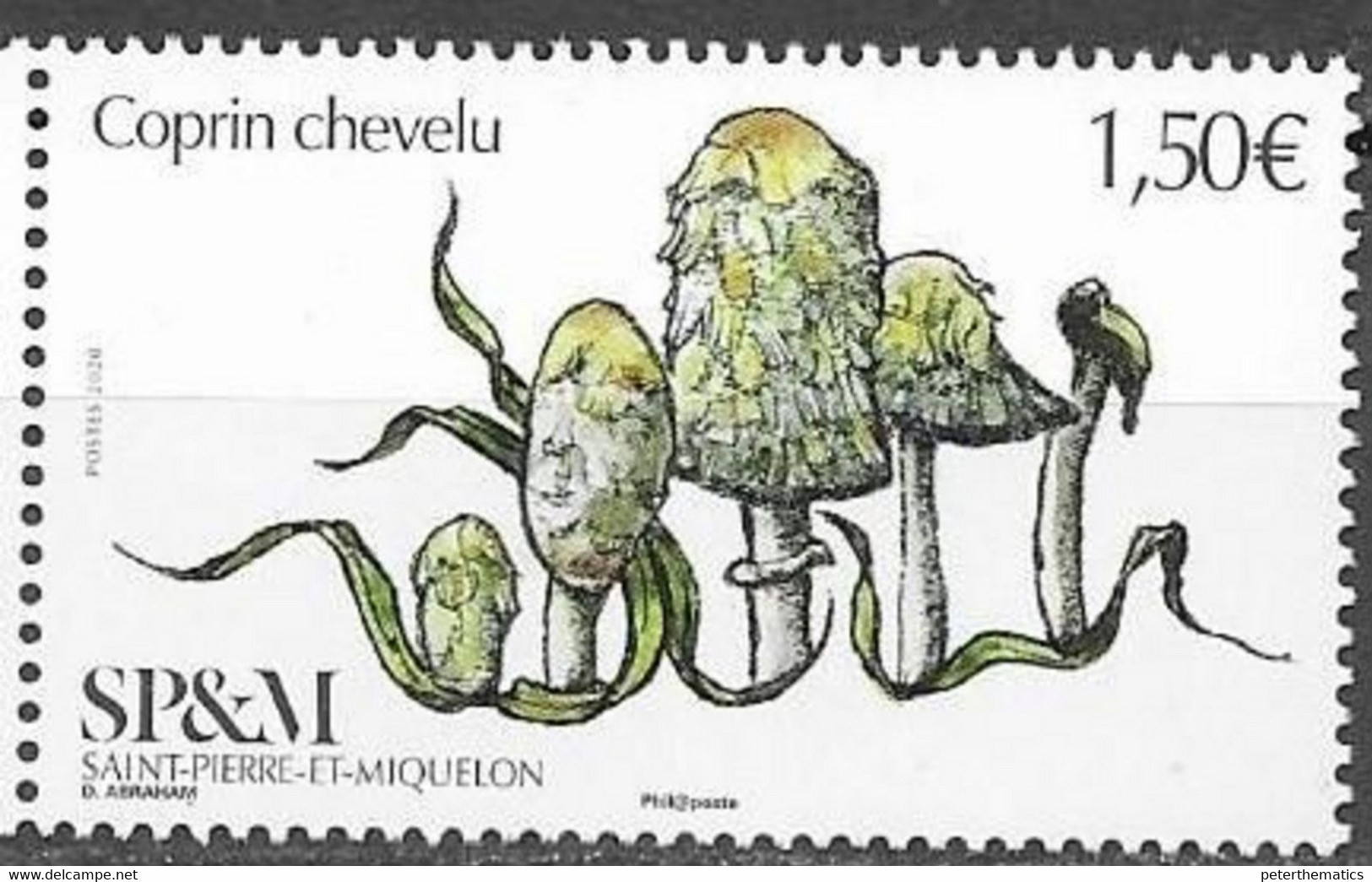 ST. PIERRE ET MIQUELON, SPM, 2020, MNH, MUSHROOMS, 1v - Mushrooms