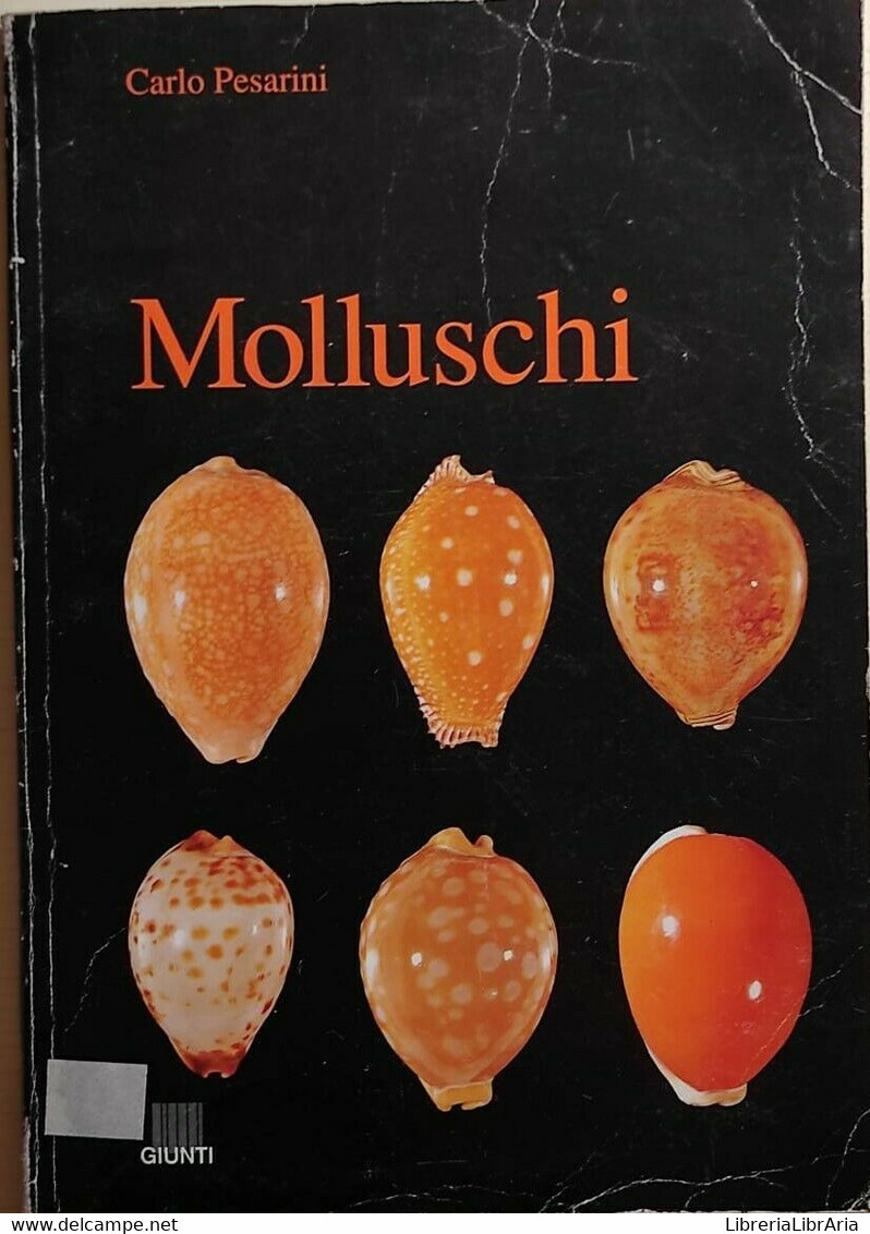 Molluschi Di Carlo Pesarini, 1991, Giunti - Natura