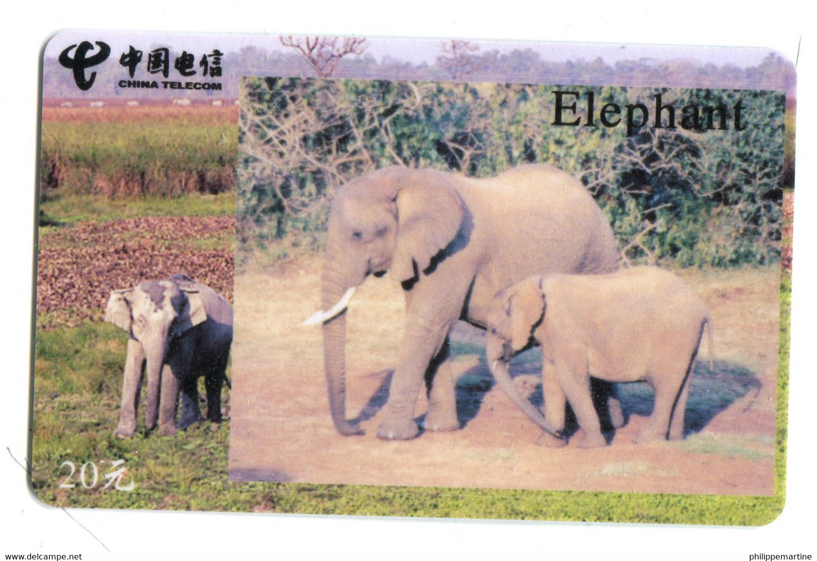 Télécarte China Unicom : Eléphant - Altri & Non Classificati