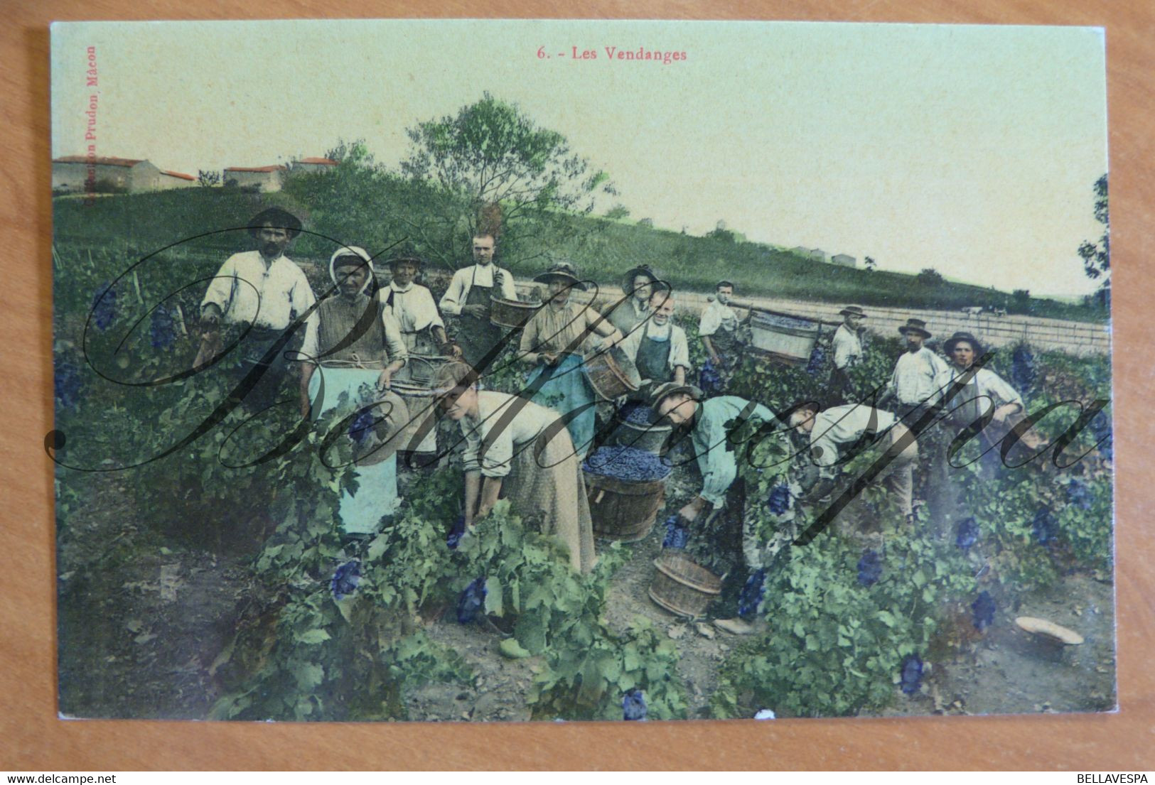 Les Vendanges. Wijnbouw. N°6 Edit Prudon Macon - Campesinos