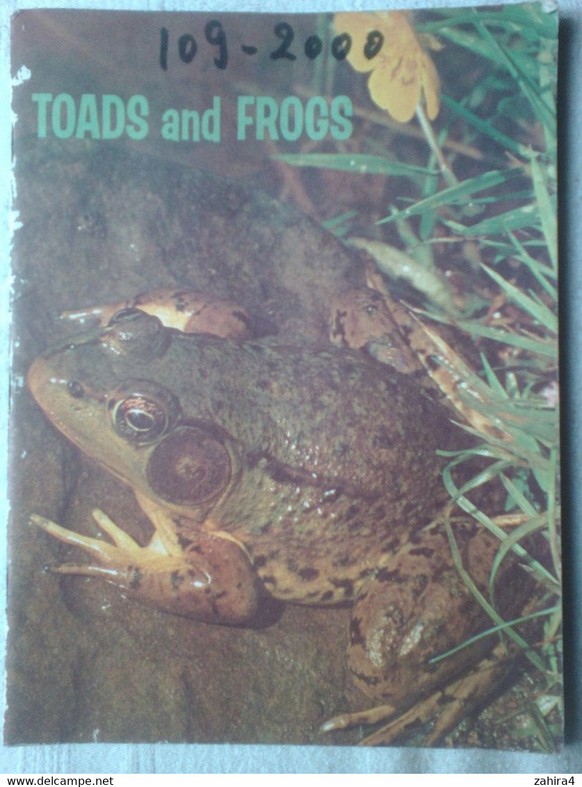 USA Toads Frogs Grenouilles Basic Science Education Series Bertha Morris Parker Plus De 35 Illustrations Arnold W. Ryan - Wildlife