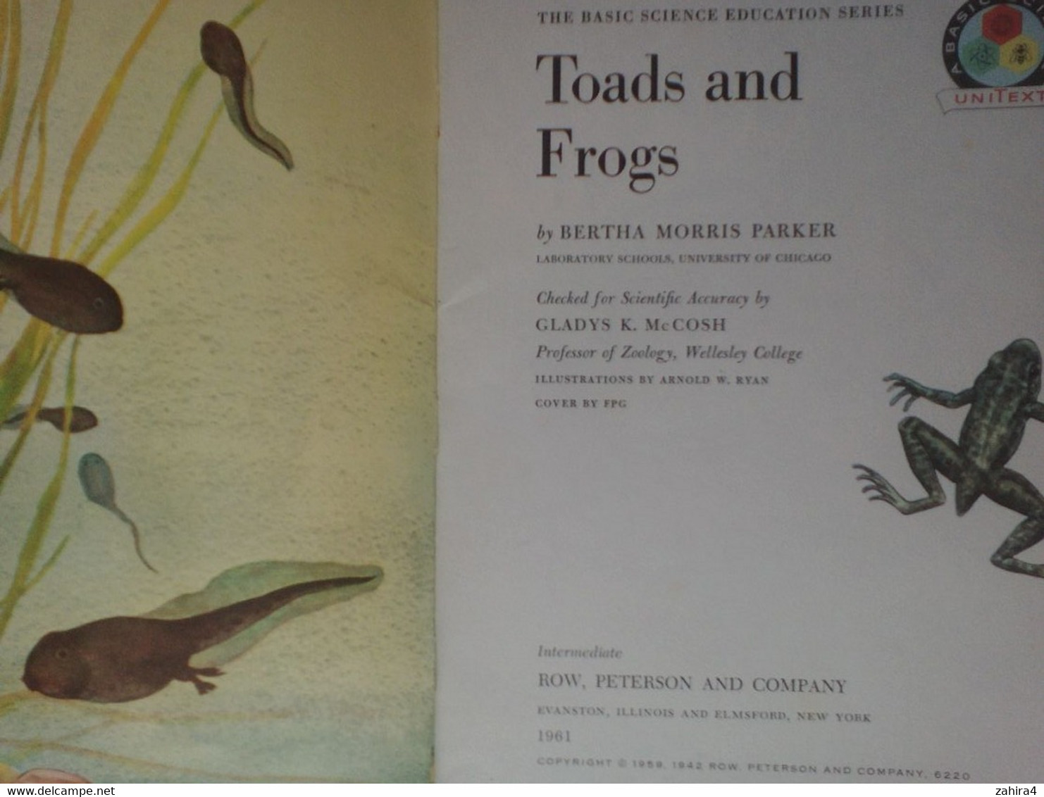 USA Toads Frogs Grenouilles Basic Science Education Series Bertha Morris Parker Plus De 35 Illustrations Arnold W. Ryan - Wildlife