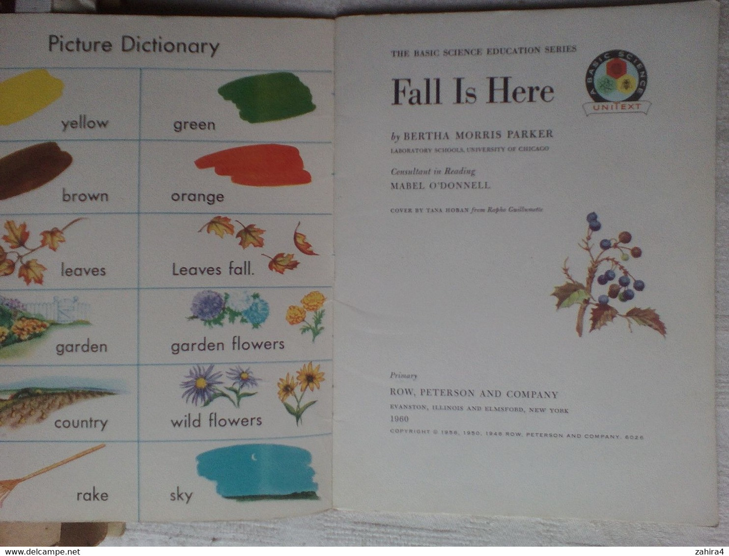 USA Fall Is Here Basic Science Education Series Bertha Morris Parker Mabel O'Donnell Plus Superbes Illustrations Enfants - Wildlife