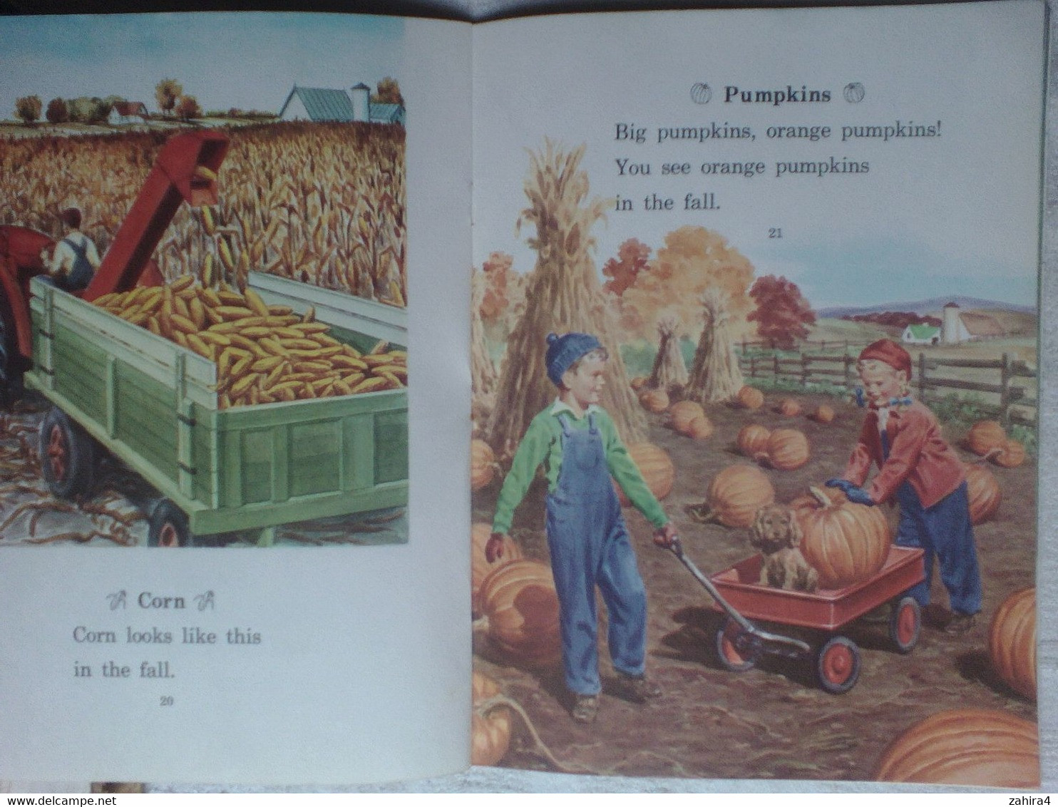 USA Fall Is Here Basic Science Education Series Bertha Morris Parker Mabel O'Donnell Plus Superbes Illustrations Enfants - Vie Sauvage