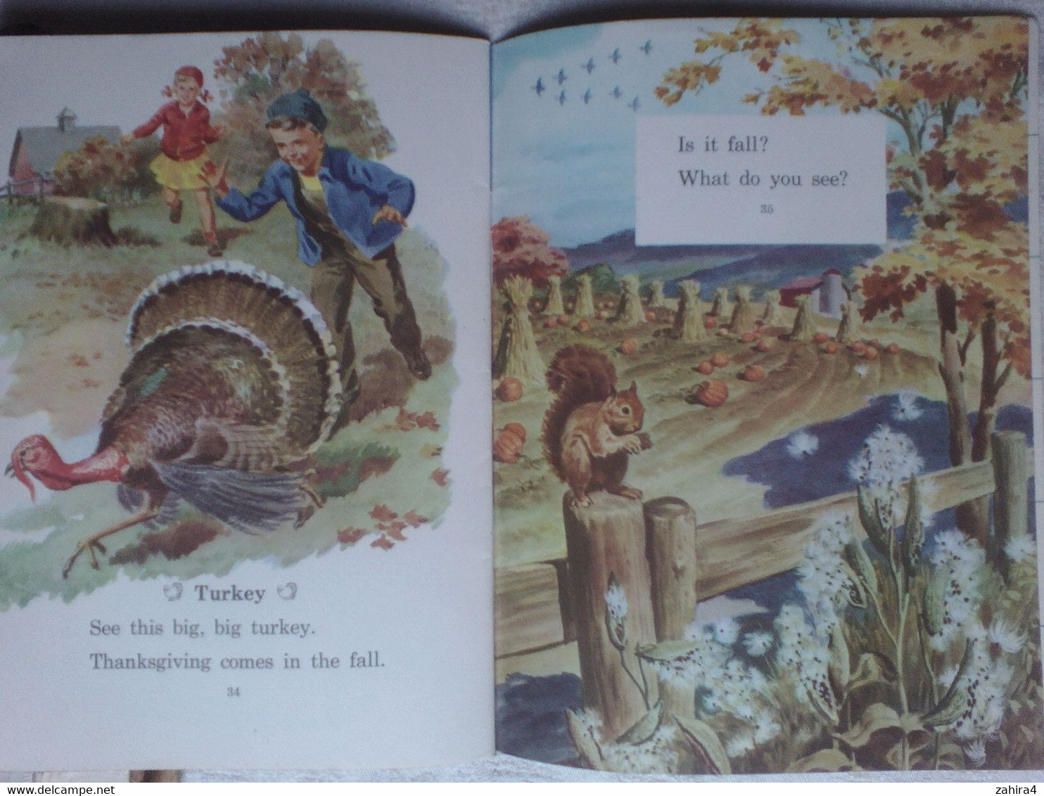 USA Fall Is Here Basic Science Education Series Bertha Morris Parker Mabel O'Donnell Plus Superbes Illustrations Enfants - Vida Salvaje