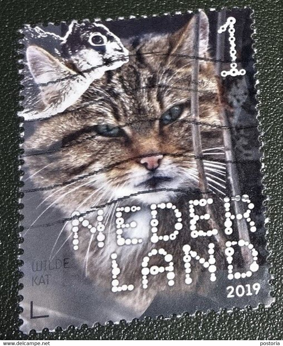 Nederland - NVPH - Xxxx - 2019 - Gebruikt - Beleef De Natuur - Wilde Kat - Oblitérés